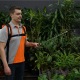 Аккумуляторный опрыскиватель Daewoo DSA 12Li SET в Омске