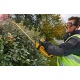 Аккумуляторный кусторез Dewalt DCM563PB (без аккумулятора и зарядного устройства) в Омске