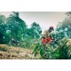 Бензопила Husqvarna 455e Rancher-18&quot; в Омске